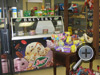 Rockton Store
